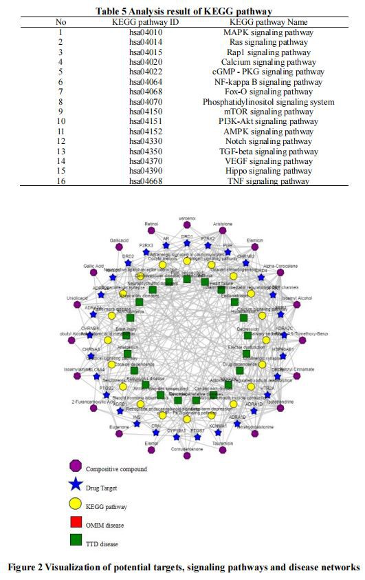 Visualization of potential targets, signaling pathways and disease networks Visualization of potential targets, signaling pathways and disease networks