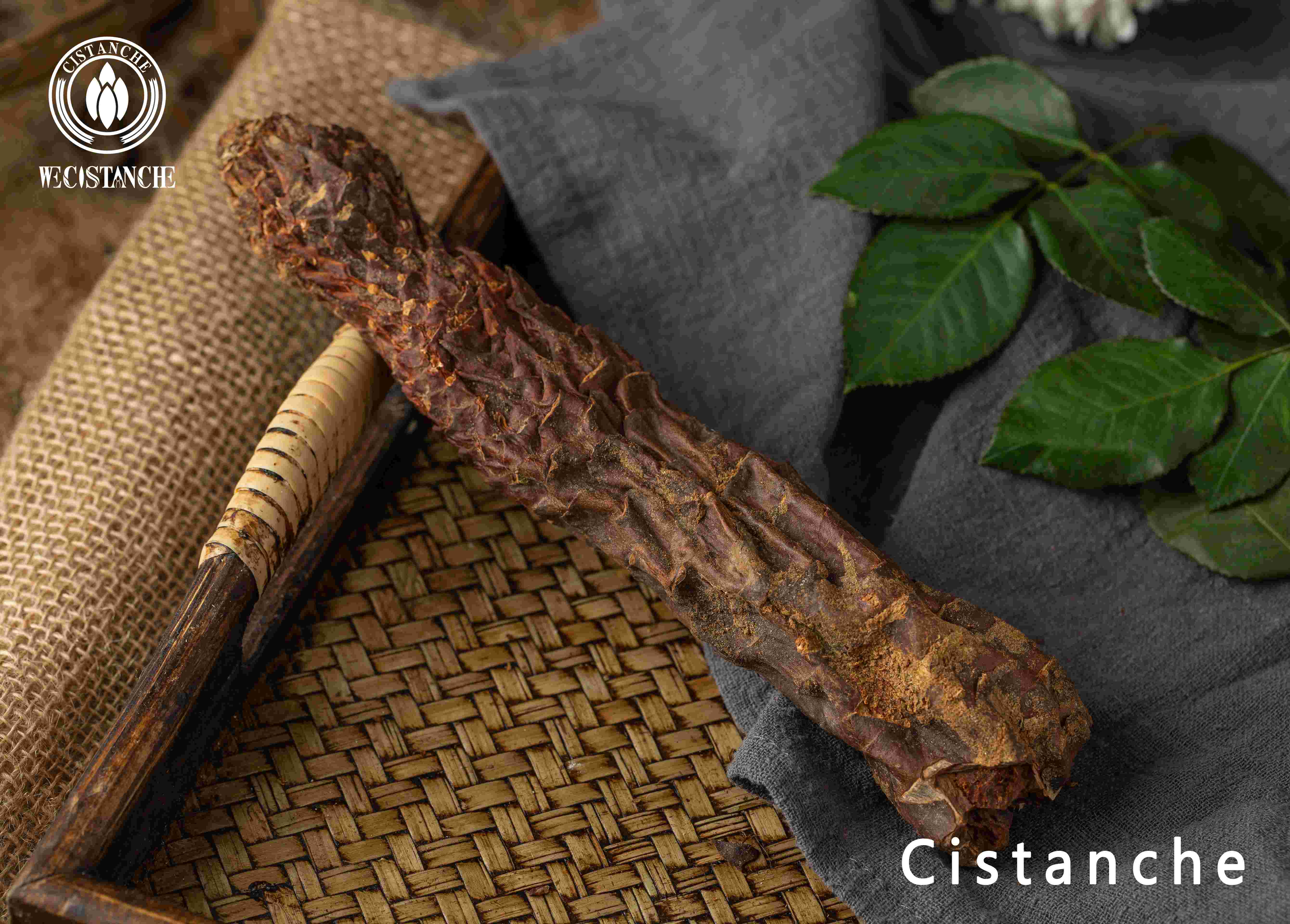 Cistanche has high medicinal value