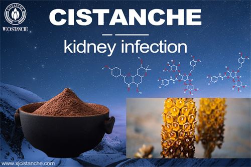 Relieve uric acid and protect kidney function