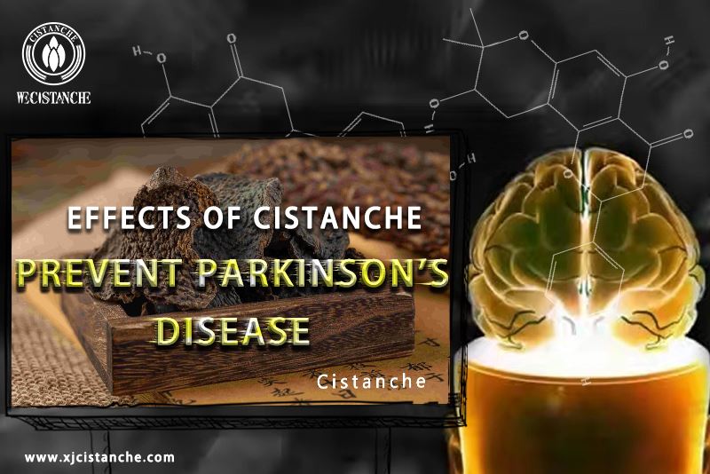 prevent parkinson's disease effects of Cistanche