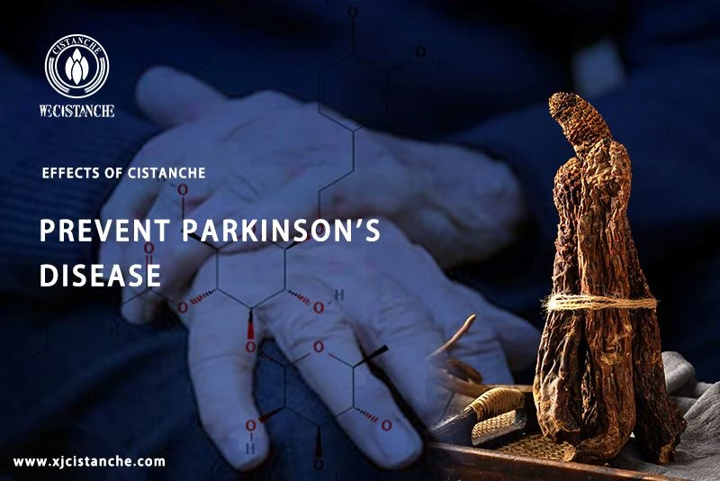the way to prevent parkinson's disease