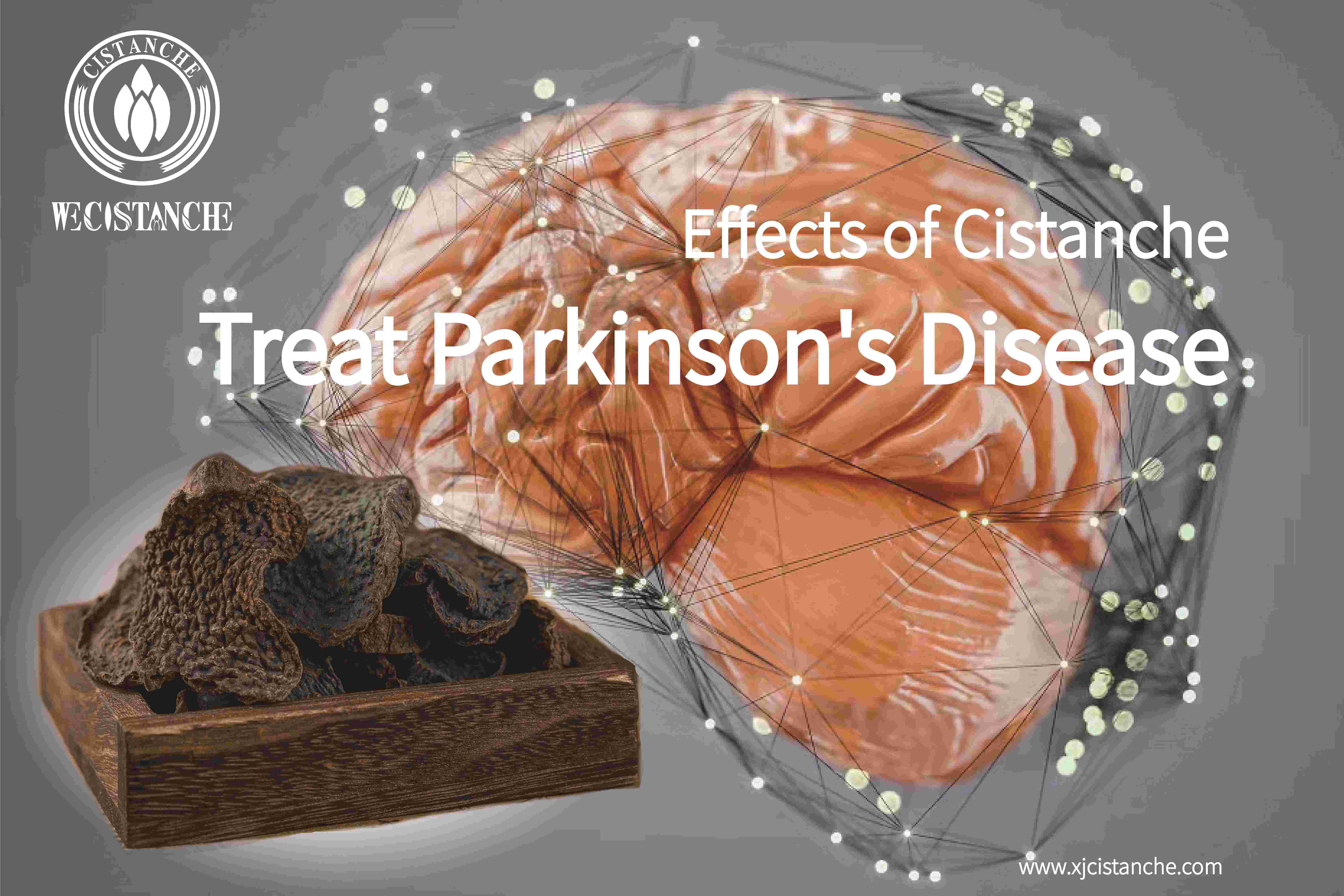 herb for parkinson's disease