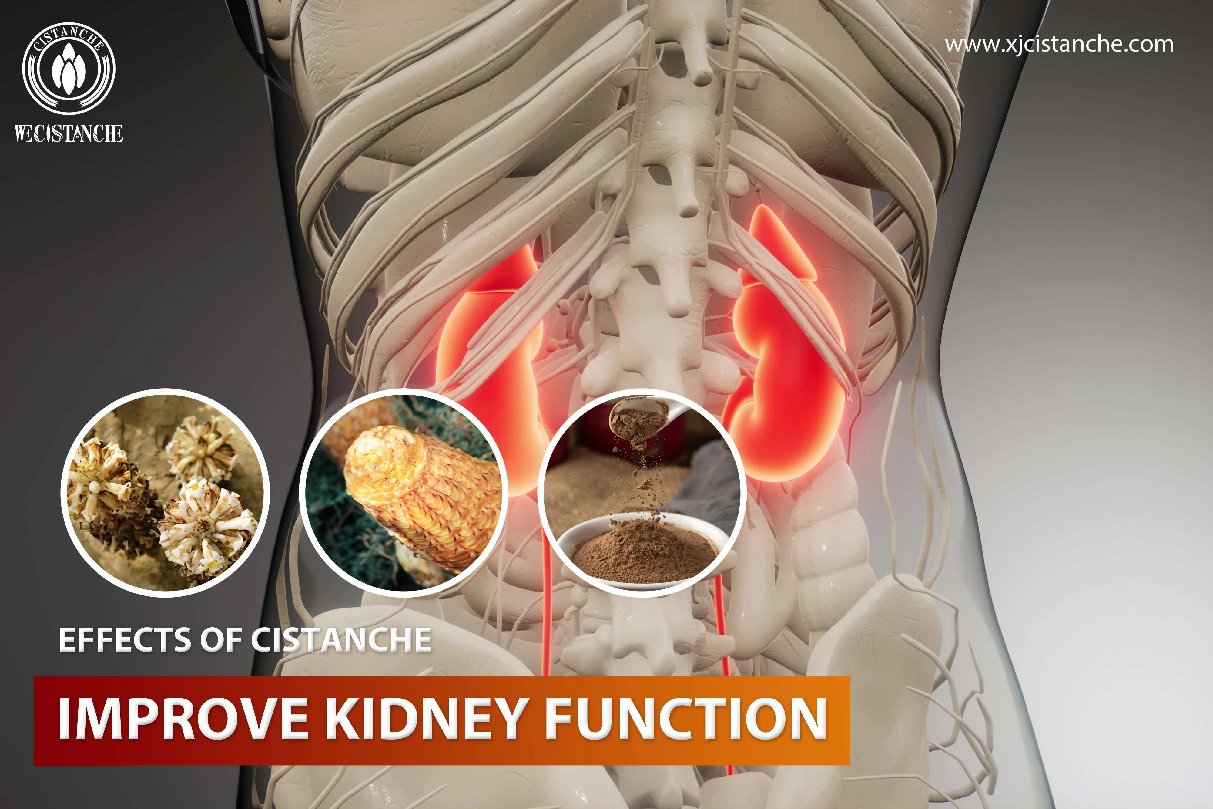 lower the creatinine