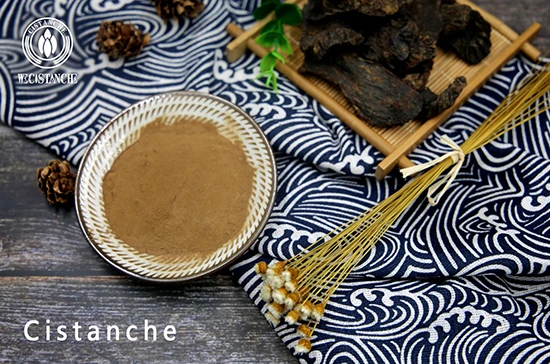 cistanche benefits