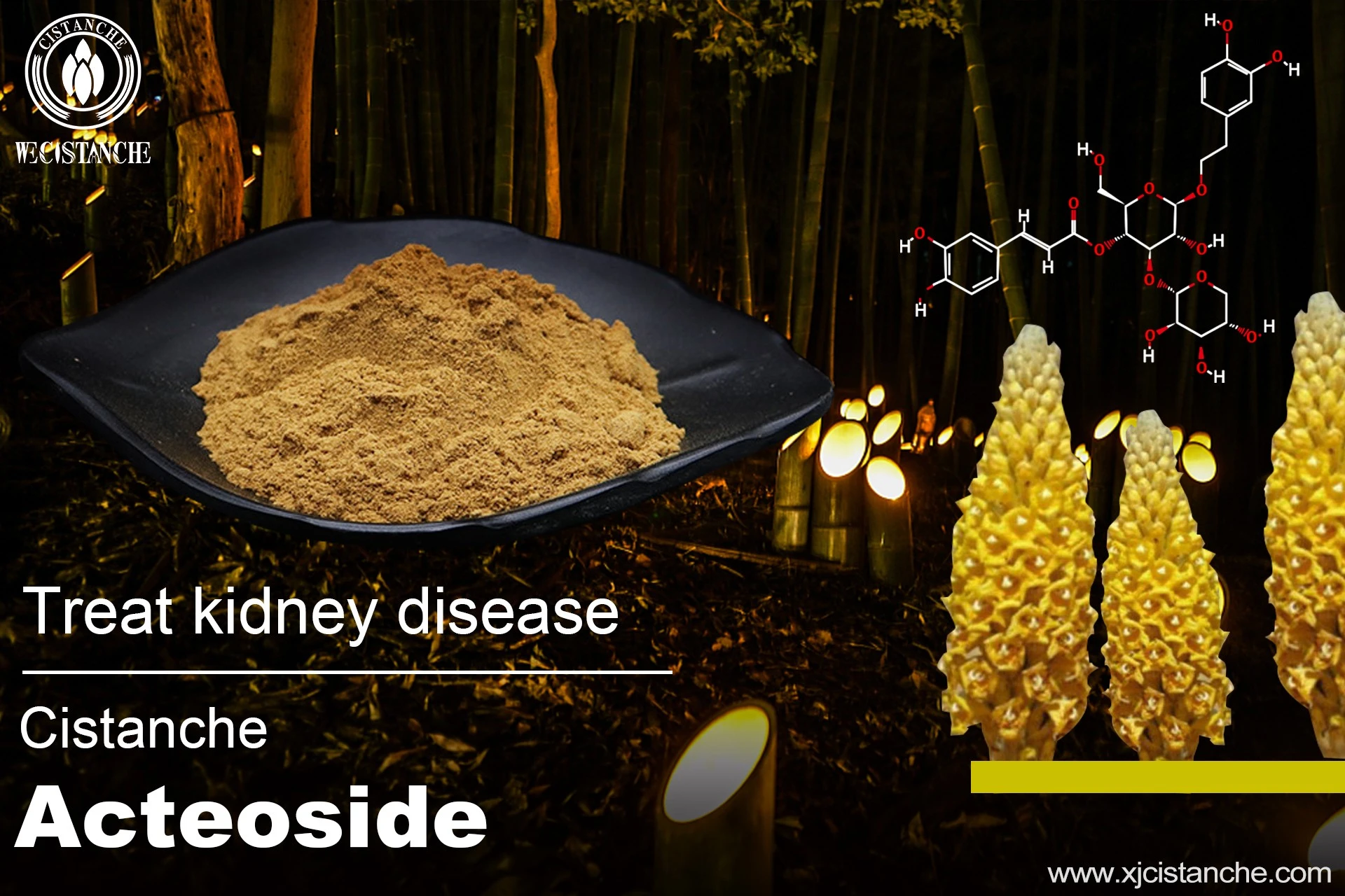 chronic kidney disease treatment