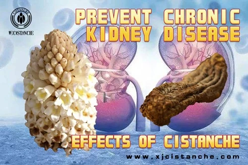 prevent kidney disease prevent kidney disease