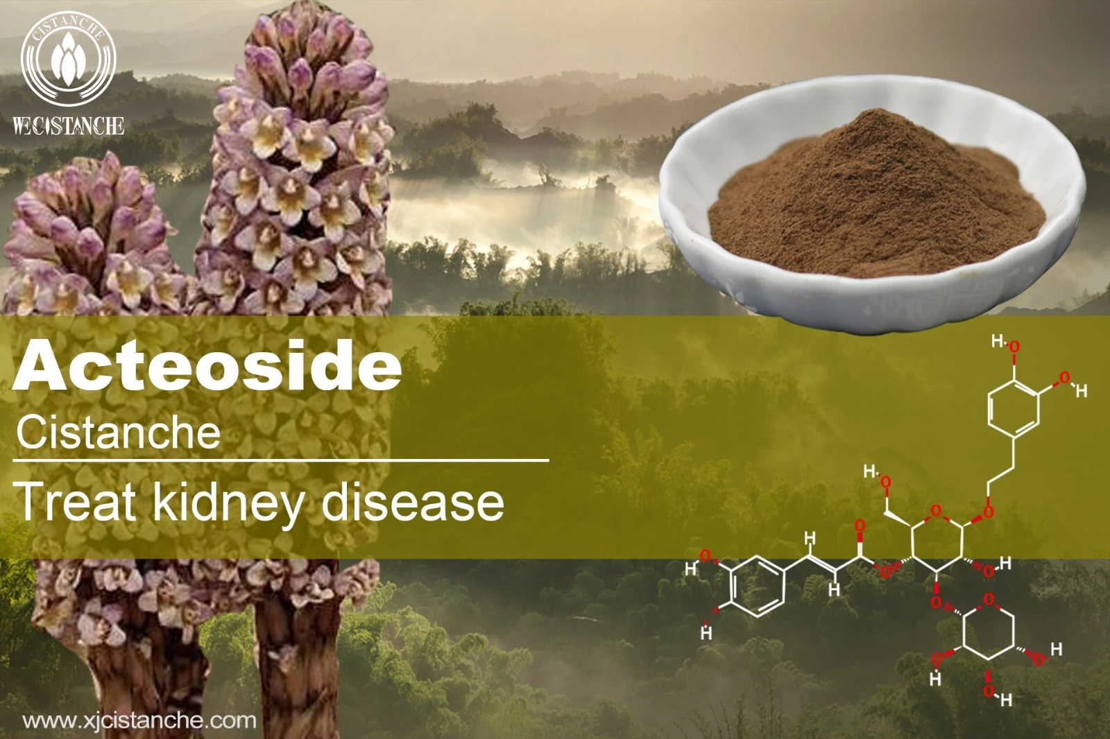 how to prevent kidney disease