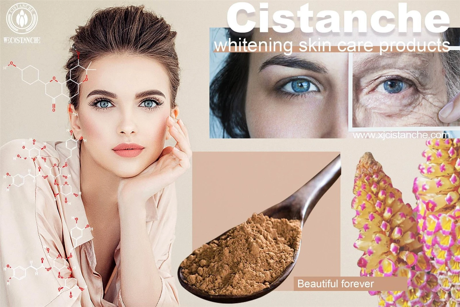 whitening cistanche