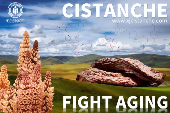 Anti-aging Cistanche Supplements