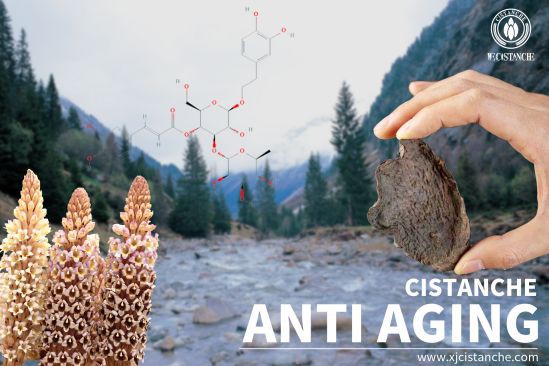 anti-irritant substances cistanche