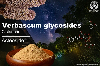 Cistanche benefits Cistanche benefits