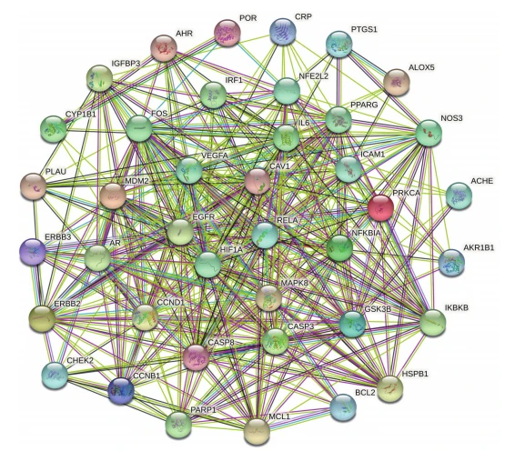 Figure 3 PPI network diagram of Cistanche deserticola and Morinda officinalis