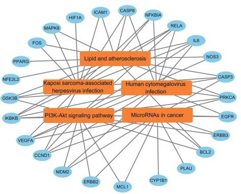 Figure 7 Target Path Network Diagram