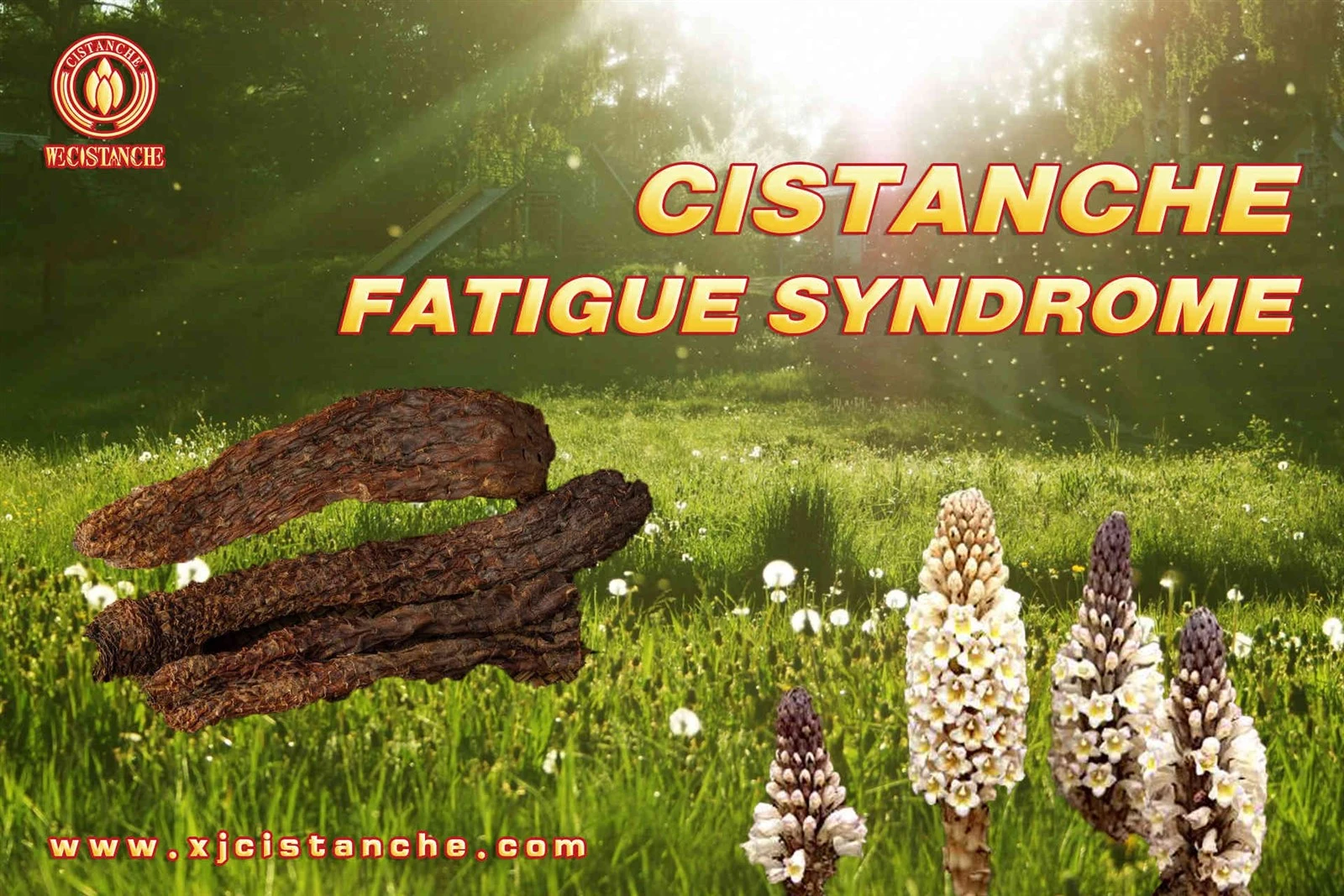 muscle fatigue