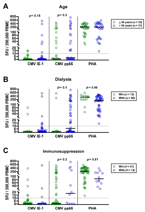 Figure 3. Distribution of CMV-specific ELISpot responses in 63 patients awaiting kidney transplantation, divided either by age (A), presence or absence of dialysis (B), immunosuppression (C) or peritoneal dialysis vs. hemodialysis (D). Horizontal lines indicate median values. The dotted line represents the cutoff for positive responses (10 spot forming units, SFU). Cellular in vitro responses toward CMV immediate early antigen 1 (IE-1), CMV phosphoprotein 65 (pp65) and the positive control phytohemagglutinin (PHA) were compared by Mann–Whitney test. PD, peritoneal dialysis; HD, hemodialysis.