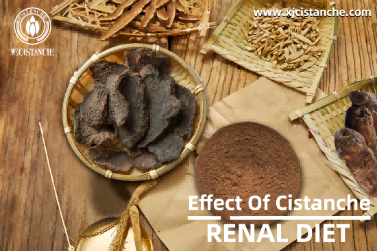 ORGANIC CISTANCHE EXTRACT WITH 25% ECHINACOSIDE AND 9% ACTEOSIDE