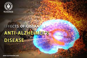 improving brain function improving brain function