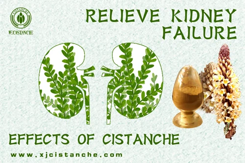 relieve kidney failure