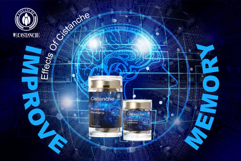 cistanche tubulosa for enhancing memory function
