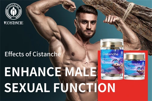 cistanche tubulosa for sexual diseases