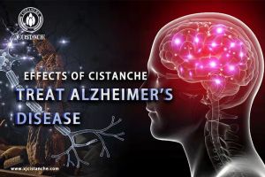 improve memory