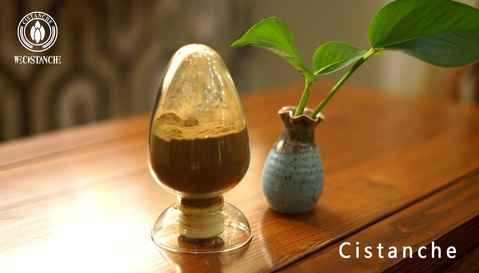 Cistanche tubulosa chinese traditional medicine Cistanche tubulosa chinese traditional medicine