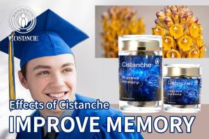 improve your memory improve your memory