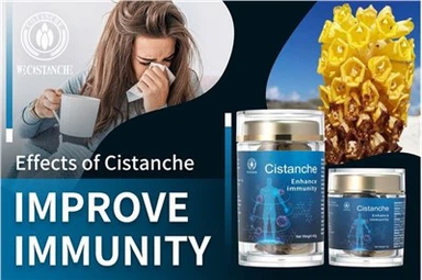 Cistanche Tubulosa pojačivač imuniteta
