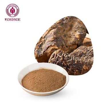 Ekstrakt Cistanche za hranu